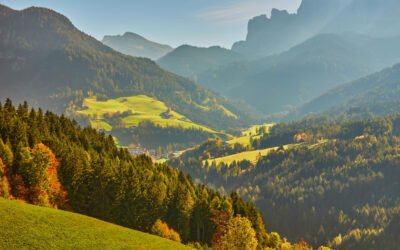 Biologi: Online undervisningsmateriale til lærere og elever